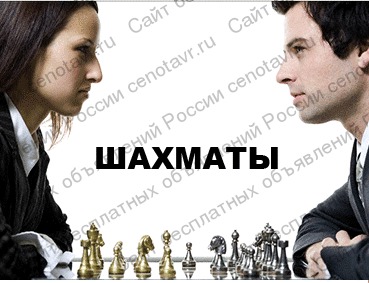 Фото: шахматная школа в ярославле